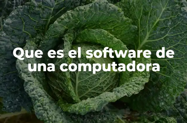 La importancia del software en la tecnología moderna