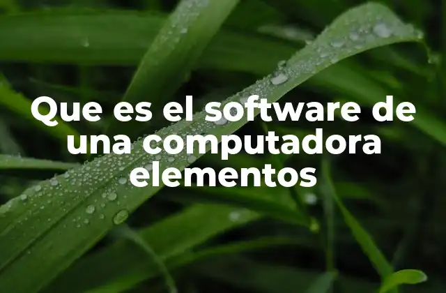 Que es el Software de una Computadora Elementos