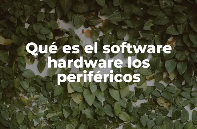 Qué es el Software Hardware los Periféricos