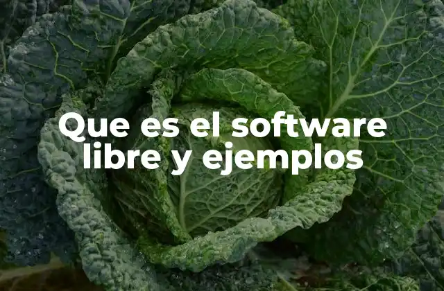 Que es el Software Libre y Ejemplos