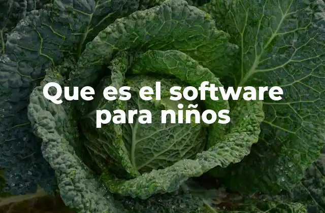 Que es el Software para Niños