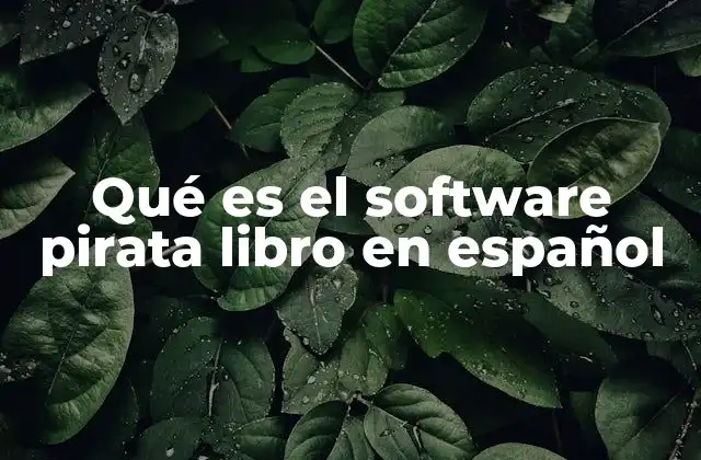 Qué es el Software Pirata Libro en Español