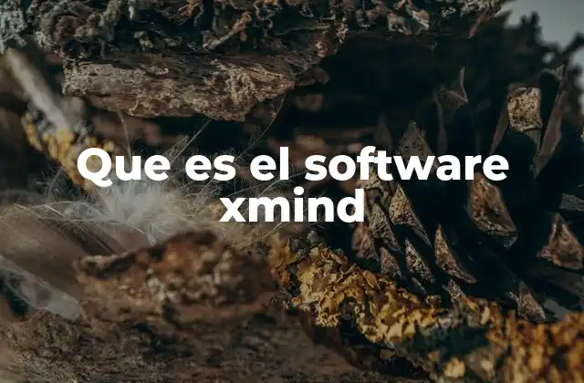 Que es el Software Xmind