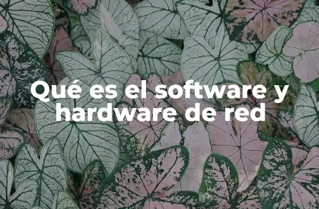 Qué es el Software y Hardware de Red