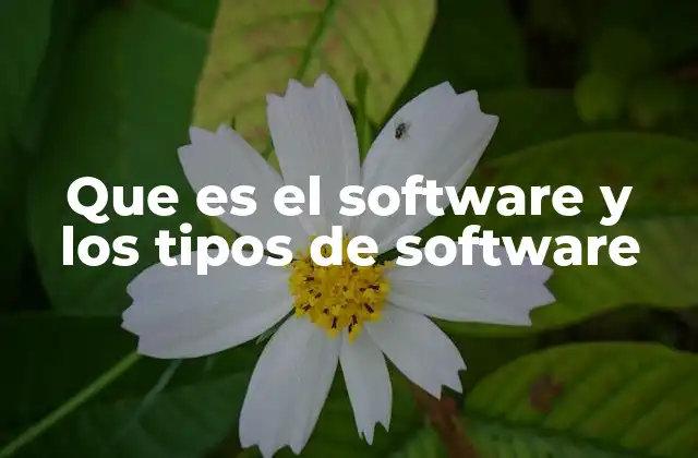 Que es el Software y los Tipos de Software