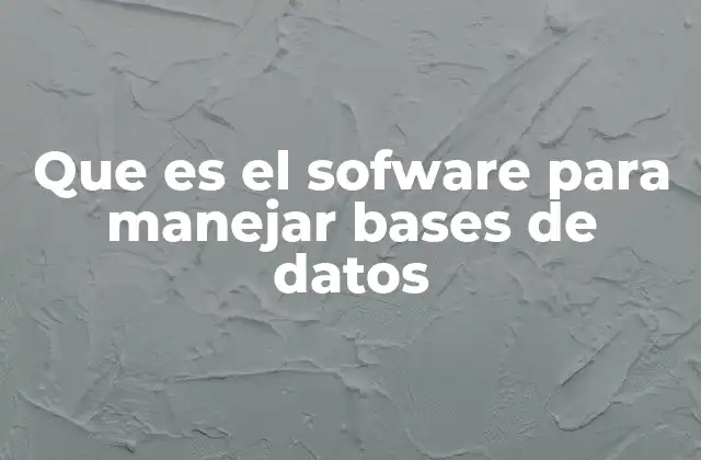 Que es el Sofware para Manejar Bases de Datos 2 La importancia del manejo estructurado de datos