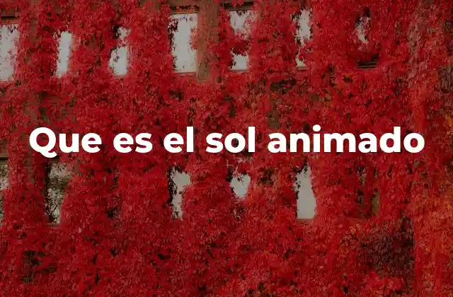 Que es el Sol Animado