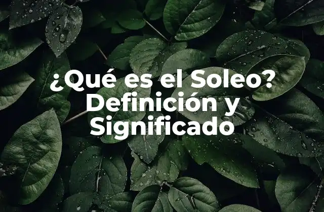 ¿qué es el Soleo? Definición y Significado 2 ¿Cuál es la Definición del Soleo?
