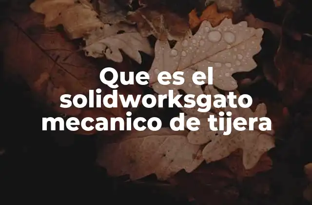 Que es el Solidworksgato Mecanico de Tijera