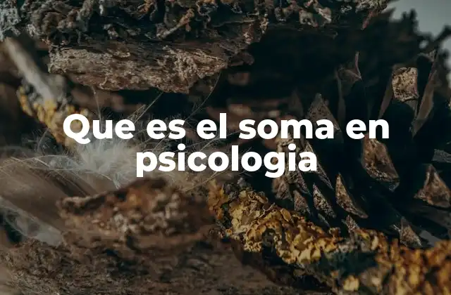 Que es el Soma en Psicologia