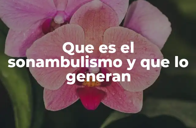 Que es el Sonambulismo y que Lo Generan 2 El sueño y el sonambulismo: una relación compleja