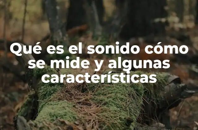 Qué es el Sonido Cómo Se Mide y Algunas Características