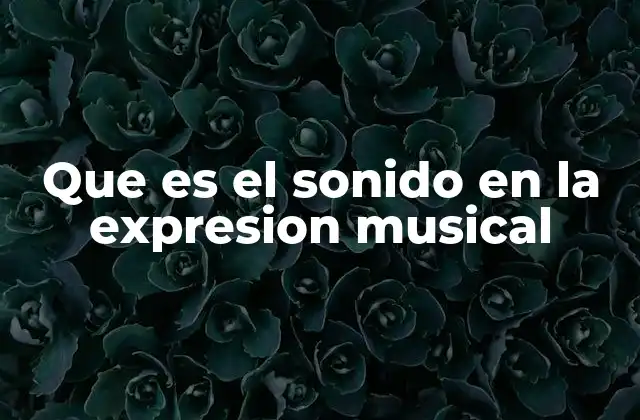 Que es el Sonido en la Expresion Musical 2 La importancia del sonido en la construcción musical