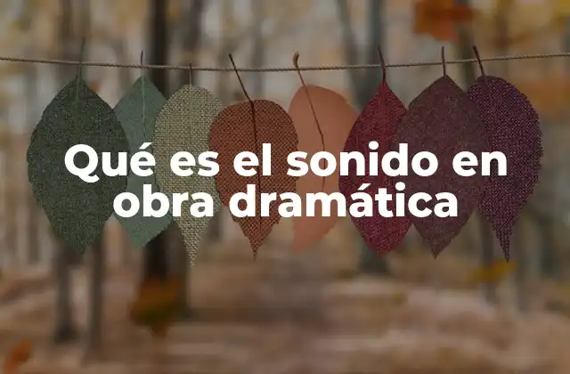 Qué es el Sonido en Obra Dramática