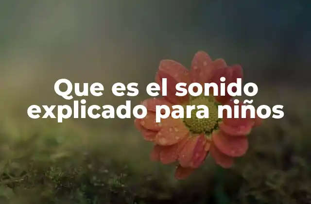 Que es el Sonido Explicado para Niños 2 Cómo el sonido llega hasta nuestros oídos