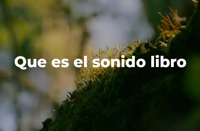 Que es el Sonido Libro