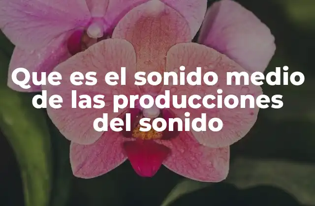 Que es el Sonido Medio de las Producciones Del Sonido