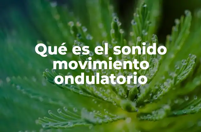 El sonido como manifestación de ondas mecánicas