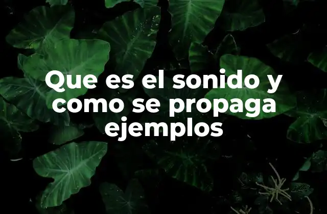 La física detrás de la propagación del sonido