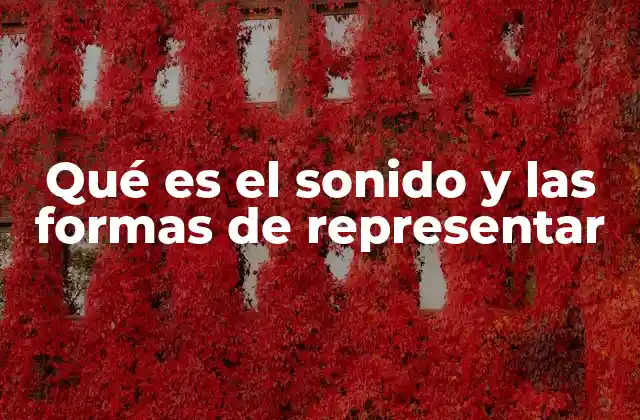 El viaje del sonido desde su producción hasta su representación
