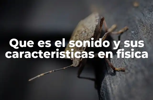 Que es el Sonido y Sus Caracteristicas en Fisica