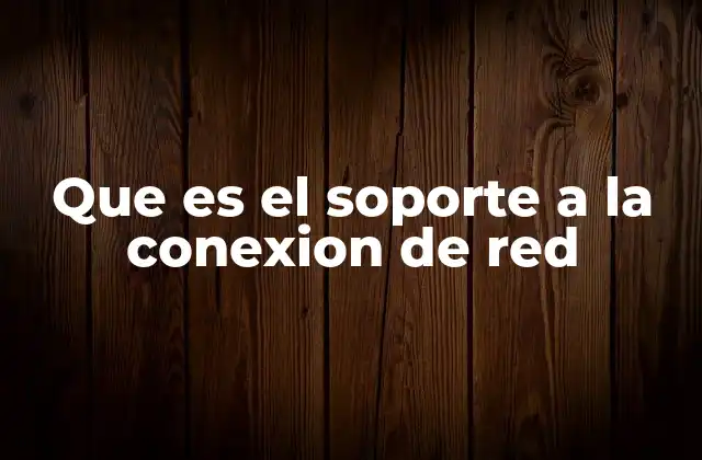 Que es el Soporte a la Conexion de Red