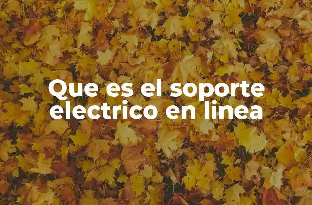 Que es el Soporte Electrico en Linea