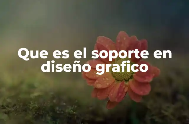 Que es el Soporte en Diseño Grafico
