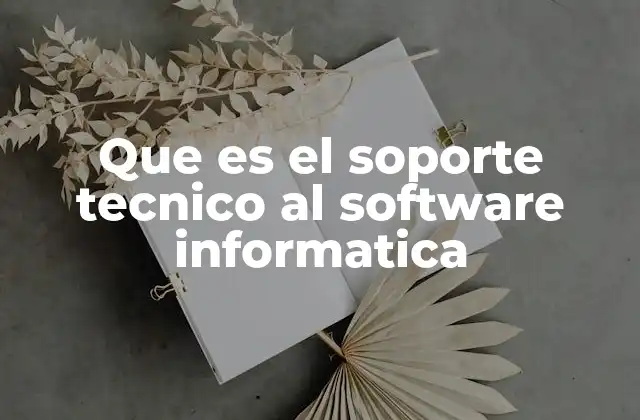 Que es el Soporte Tecnico Al Software Informatica