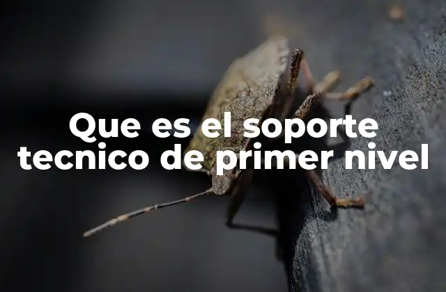 Que es el Soporte Tecnico de Primer Nivel