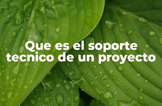 Que es el Soporte Tecnico de un Proyecto