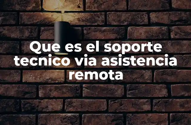 Que es el Soporte Tecnico Via Asistencia Remota
