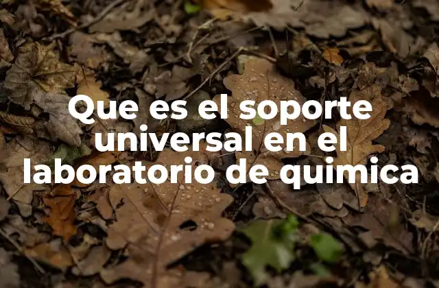 Que es el Soporte Universal en el Laboratorio de Quimica 2 El rol del soporte universal en la organización del laboratorio