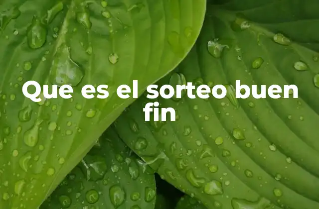 La importancia del sorteo en la economía nacional