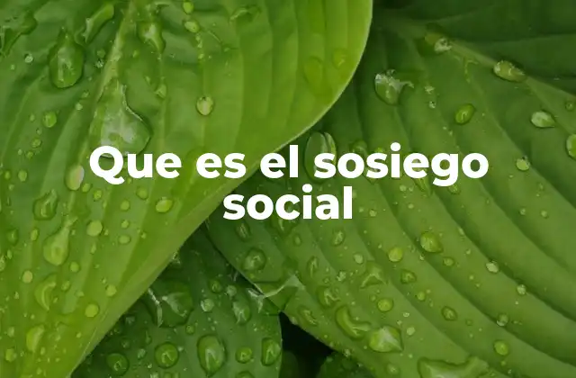Que es el Sosiego Social
