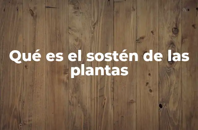 Qué es el Sostén de las Plantas 2 Cómo las plantas logran su estructura y estabilidad