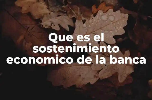 Que es el Sostenimiento Economico de la Banca