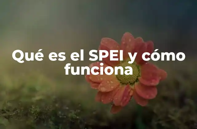 Cómo el SPEI transforma las transacciones en México