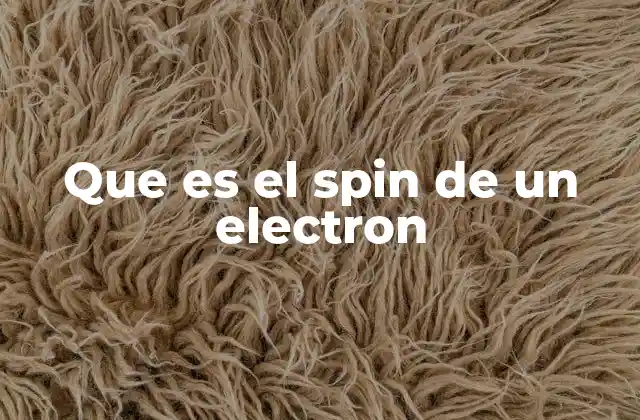 Que es el Spin de un Electron