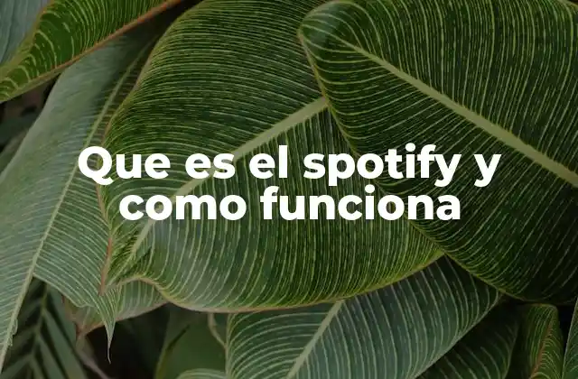 Que es el Spotify y como Funciona