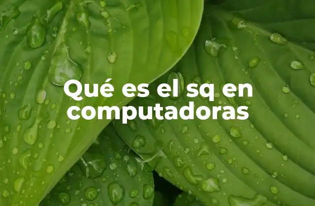 Qué es el Sq en Computadoras