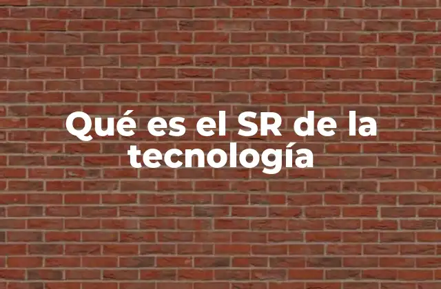 Qué es el Sr de la Tecnología 2 El rol de SR en la gestión tecnológica