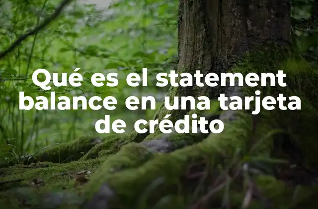 Qué es el Statement Balance en una Tarjeta de Crédito