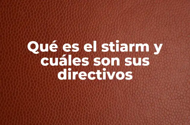 Qué es el Stiarm y Cuáles Son Sus Directivos