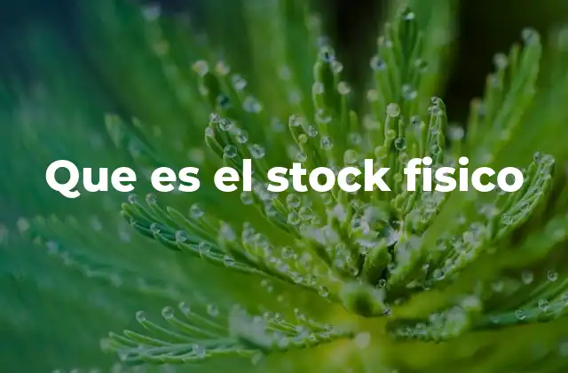 Que es el Stock Fisico