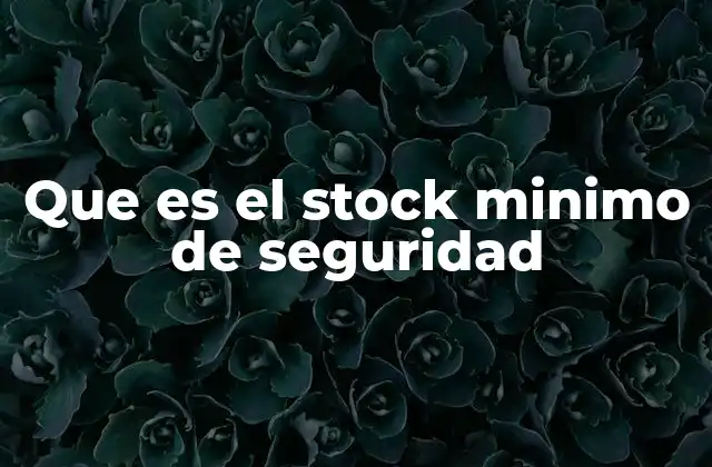 Que es el Stock Minimo de Seguridad