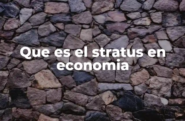 Cómo la estratificación económica afecta a los mercados