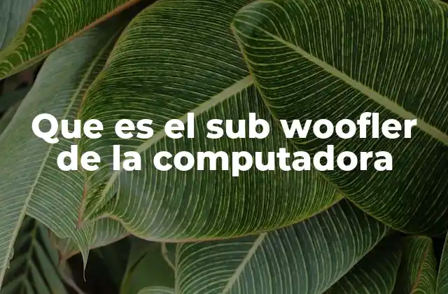 Que es el Sub Woofler de la Computadora