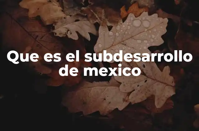 Que es el Subdesarrollo de Mexico
