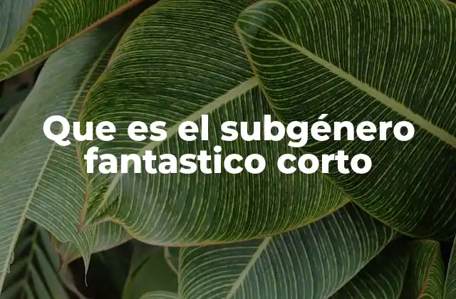 Que es el Subgénero Fantastico Corto